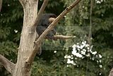 leipzig zoo-01_07_2011_zoo_allgemein_385